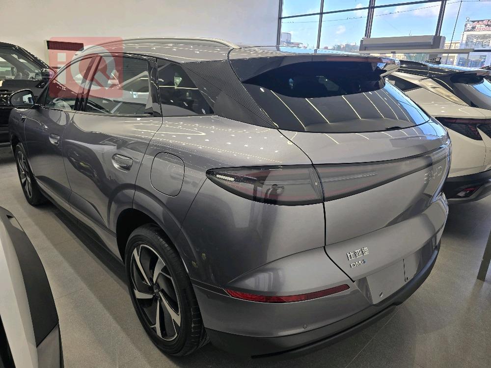 بي واي دي سيليون 06 DM-i